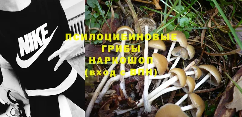 Псилоцибиновые грибы MAGIC MUSHROOMS  Кирс 