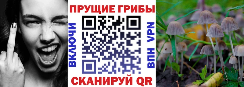 Галлюциногенные грибы ЛСД  гидра tor  Кирс  сколько стоит 